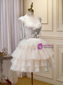 Ivory Tulle Beading Tiers Homecoming Dress