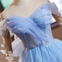 Blue Tulle Sequins Butterfly Homecoming Dress