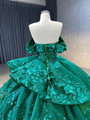 Green Ball Gown Tulle Off the Shoulder 3D Appliques Prom Dress