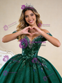 Green Sequins Off the Shoulder Appliques Crystal Prom Dress