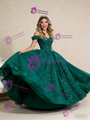 Green Ball Gown Tulle Sequins Appliques Prom Dress
