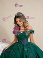 Green Ball Gown Tulle Sequins Appliques Prom Dress