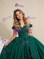 Green Ball Gown Tulle Sequins Appliques Prom Dress