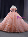 Orange Tulle Off the Shoulder Appliques Prom Dress