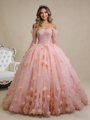 Orange Tulle Off the Shoulder Appliques Prom Dress