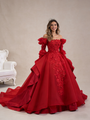 Red Long Sleeve Backless 3D Appliques Prom Dress