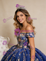 Royal Blue Ball Gown Tulle Appliques Off the Shoulder Prom Dress