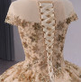 Champagne Ball Gown Tulle Sequins Cap Sleeve Prom Dress