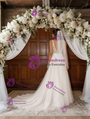 White Tulle V-neck Appliques Wedding Dress
