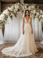 Ivory Tulle Lace V-neck Wedding Dress