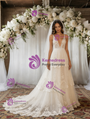 Ivory Tulle Lace V-neck Wedding Dress