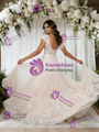 Champagne Tulle Lace Wedding Dress