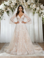 Champagne Tulle Lace Long Sleeve Wedding Dress