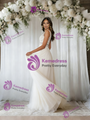 Beige White Tulle Lace V-neck Wedding Dress