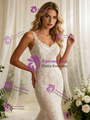 Mermaid Lace V-neck Wedding Dress