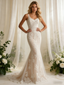 Mermaid Lace V-neck Wedding Dress