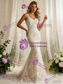Mermaid Lace V-neck Wedding Dress