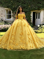 Yellow Tulle 3D Appliques Quinceanera Dress