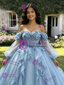 Blue Tulle Long Sleeve 3D Appliques Quinceanera Dress
