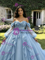 Blue Tulle Long Sleeve 3D Appliques Quinceanera Dress