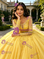 Yellow Tulle Appliques Quinceanera Dress