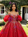 Red Tulle Puff Sleeve Appliques Quinceanera Dress
