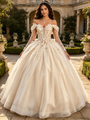 Champagne Tulle Appliques Quinceanera Dress
