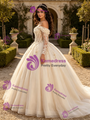 Champagne Tulle Appliques Quinceanera Dress