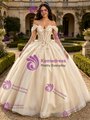 Champagne Tulle Appliques Quinceanera Dress