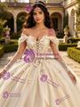 Champagne Tulle Appliques Quinceanera Dress