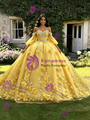 Yellow Tulle Appliques Long Sleeve Quinceanera Dress