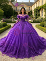 Purple Tulle Long Sleeve Appliques Quinceanera Dress