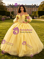 Yellow Tulle Long Sleeve 3D Flower Quinceanera Dress