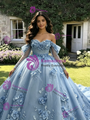 Blue Tulle Appliques Long Sleeve Quinceanera Dress