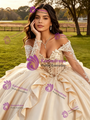 Champagne Tulle Long Sleeve 3D Flower Quinceanera Dress
