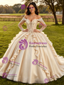 Champagne Tulle Long Sleeve 3D Flower Quinceanera Dress