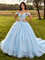Blue Tulle Off the Shoulder Appliques Quinceanera Dress