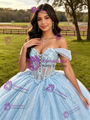 Blue Tulle Off the Shoulder Appliques Quinceanera Dress