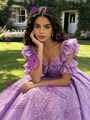 Purple Tulle Short Sleeve Appliques Quinceanera Dress