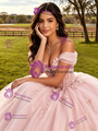 Pink Tulle 3D Appliques Quinceanera Dress