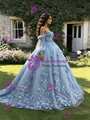 Blue Tulle 3D Appliques Long Sleeve Quinceanera Dress