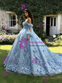 Blue Tulle 3D Appliques Long Sleeve Quinceanera Dress