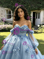Blue Tulle 3D Appliques Long Sleeve Quinceanera Dress