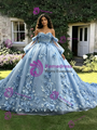 Blue Tulle 3D Appliques Long Sleeve Quinceanera Dress