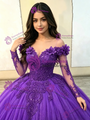 Purple Tulle Long Sleeve Appliques Quinceanera Dress