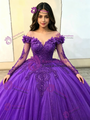Purple Tulle Long Sleeve Appliques Quinceanera Dress