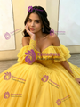 Yellow Tulle Long Sleeve Appliques Quinceanera Dress