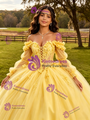 Yellow Tulle Appliques Long Sleeve Quinceanera Dress