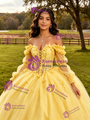 Yellow Tulle Appliques Long Sleeve Quinceanera Dress