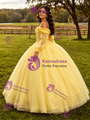 Yellow Tulle Appliques Long Sleeve Quinceanera Dress